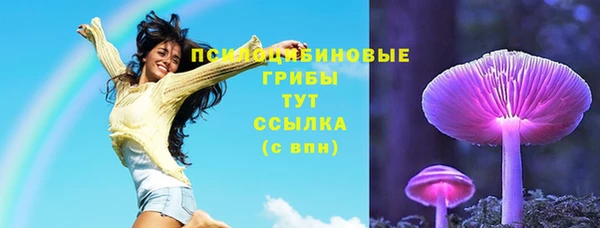 бутират Каменка