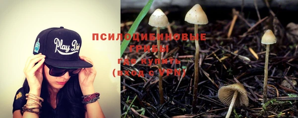 бутират Каменка