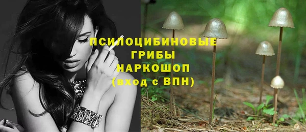 бутират Каменка