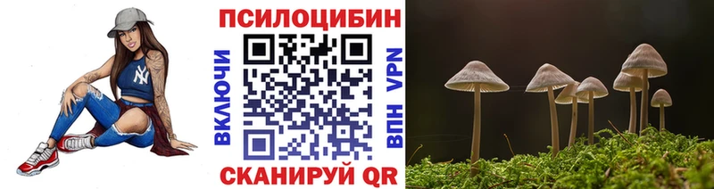 Псилоцибиновые грибы ЛСД  Купить  Апшеронск 